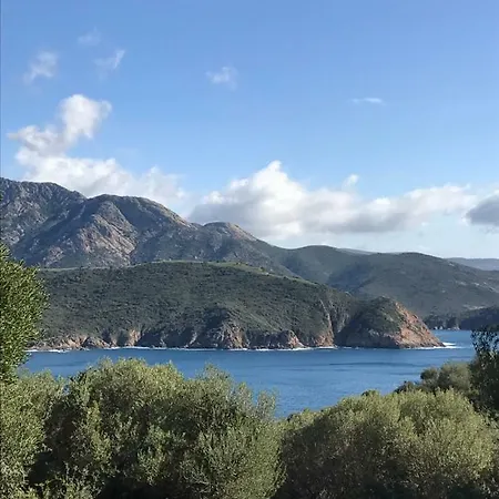 L'alivetu, D'hôtes Bastelicaccia