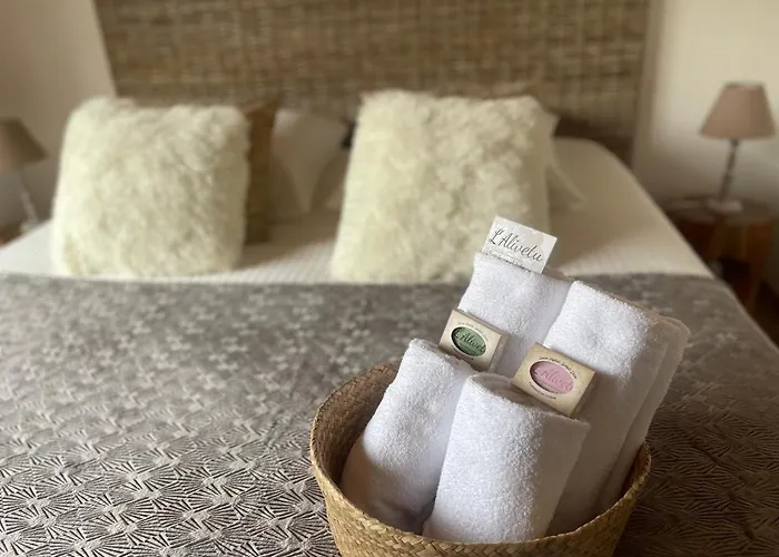 Gæstehus L'alivetu, D'hotes Bastelicaccia