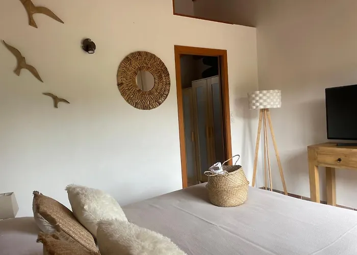 Gæstehus L'alivetu, D'hotes