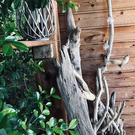 L'alivetu, D'hôtes Casa de hóspedes