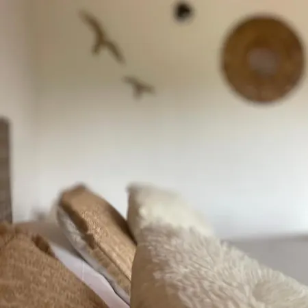 L'alivetu, D'hotes Πανσιόν 3*