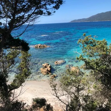 L'alivetu, D'hôtes Casa de hóspedes *