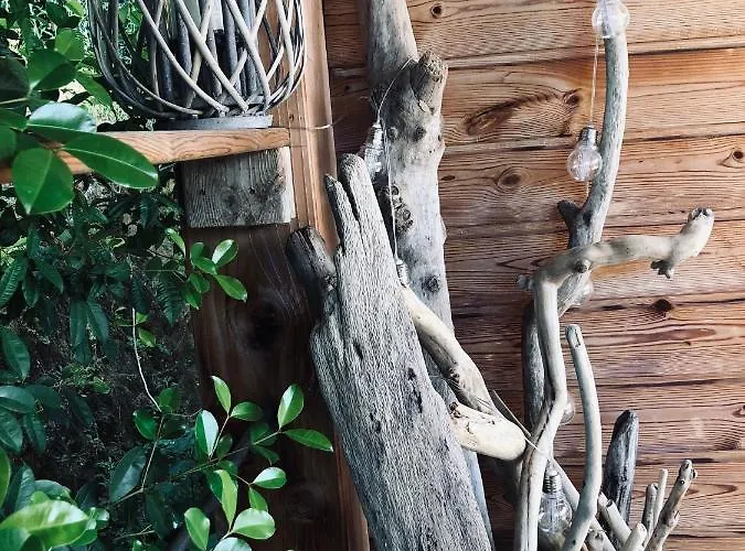 L'alivetu, D'hotes Konukevi