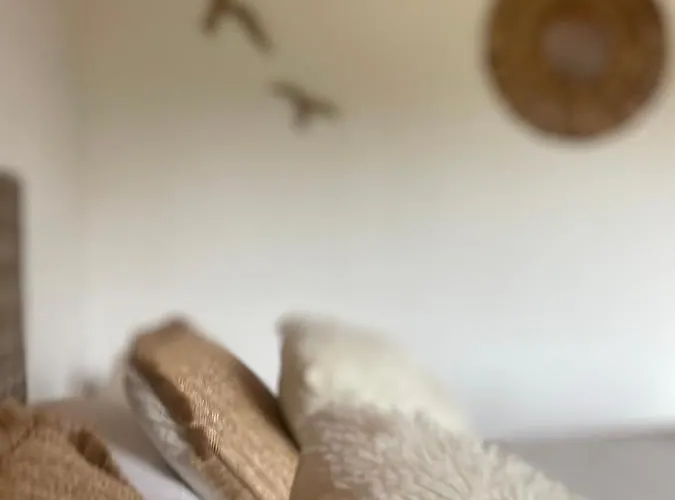 L'alivetu, D'hotes بيت ضيافة 3*