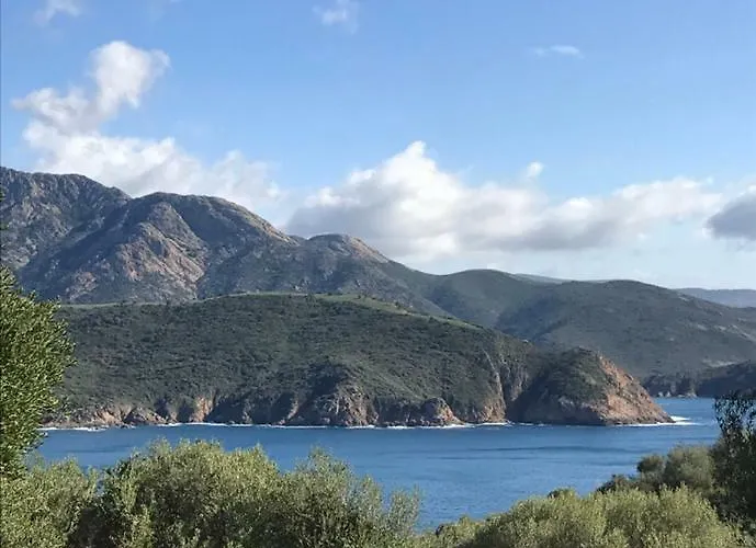 L'alivetu, D'hotes Bastelicaccia